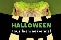 Quoi faire ce weekend en Estrie ?